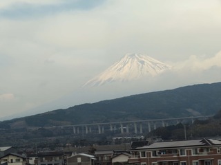 IMG_0416pse.jpg